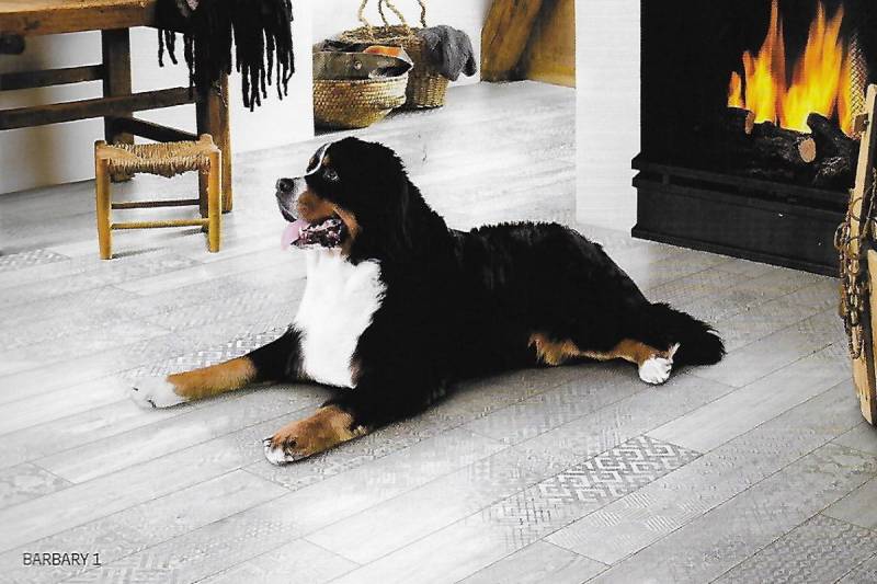 Линолеум JUTEKS ULTIMATE (Ютекс Ультимат) Дизайн - BARBARY 1_096L